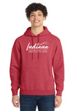 ICDA - Hooded Sweatshirt (unisex)