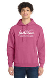 ICDA - Hooded Sweatshirt (unisex)
